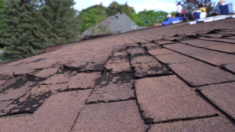 Fast & Reliable Emergency Roof Repairs in Pecatonica, IL